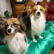 ヒメ日記 2025/11/28 19:31 投稿 フウカ マテリアル