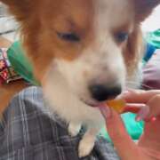 ヒメ日記 2025/12/04 12:01 投稿 フウカ マテリアル