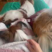 ヒメ日記 2025/12/05 09:46 投稿 フウカ マテリアル