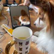 ヒメ日記 2025/12/06 11:01 投稿 フウカ マテリアル