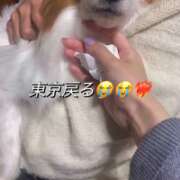 ヒメ日記 2025/12/06 18:16 投稿 フウカ マテリアル