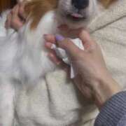 ヒメ日記 2025/12/09 08:46 投稿 フウカ マテリアル