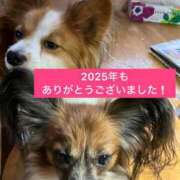 ヒメ日記 2025/12/31 03:31 投稿 フウカ マテリアル