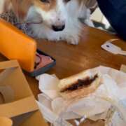 ヒメ日記 2026/01/02 16:01 投稿 フウカ マテリアル