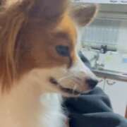 ヒメ日記 2026/01/04 14:46 投稿 フウカ マテリアル