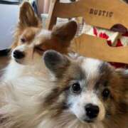 ヒメ日記 2026/01/10 15:01 投稿 フウカ マテリアル