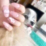 ヒメ日記 2026/01/31 16:16 投稿 フウカ マテリアル