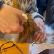 ヒメ日記 2026/02/01 17:46 投稿 フウカ マテリアル