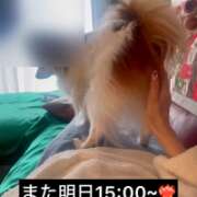 ヒメ日記 2026/02/04 03:01 投稿 フウカ マテリアル