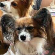 ヒメ日記 2026/02/27 16:31 投稿 フウカ マテリアル