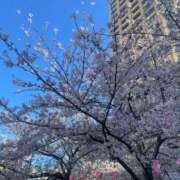 ヒメ日記 2026/04/02 16:01 投稿 フウカ マテリアル