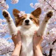 ヒメ日記 2026/04/04 10:01 投稿 フウカ マテリアル