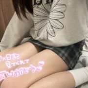 ヒメ日記 2024/12/16 02:25 投稿 えり ヒルズスパ　梅田＋