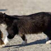 ヒメ日記 2025/01/29 14:54 投稿 上田 鶯うぐ