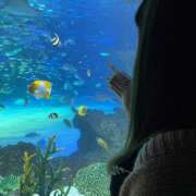 ヒメ日記 2025/08/17 14:53 投稿 える 横浜ハッピーマットパラダイス