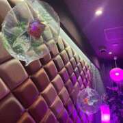 寺井-てらい 鶯谷のラブホテル🏩 MSC 妄想紳士倶楽部 鶯谷店