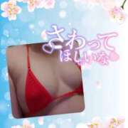 ヒメ日記 2026/04/02 15:24 投稿 寺井-てらい MSC 妄想紳士倶楽部 鶯谷店