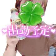ヒメ日記 2026/06/01 16:44 投稿 寺井-てらい MSC 妄想紳士倶楽部 鶯谷店