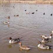 ヒメ日記 2025/03/07 23:29 投稿 ◆千尋-チヒロ-◆美熟女 BIBLE～奥様の性書～