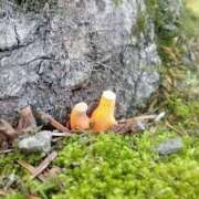 ヒメ日記 2025/06/19 16:46 投稿 ◆千尋-チヒロ-◆美熟女 BIBLE～奥様の性書～