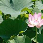 ヒメ日記 2025/10/20 10:13 投稿 ◆千尋-チヒロ-◆美熟女 BIBLE～奥様の性書～