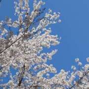 ヒメ日記 2026/04/15 22:53 投稿 ◆千尋-チヒロ-◆美熟女 BIBLE～奥様の性書～