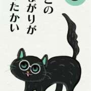 平野ゆう こんにちは 川崎南町 素敵な奥様（川崎ハレ系）