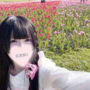 ヒメ日記 2025/05/31 17:04 投稿 ひめ ソープランド AQUA（アクア）