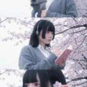 ヒメ日記 2026/04/01 19:48 投稿 ひめ ソープランド AQUA（アクア）