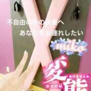 ヒメ日記 2025/11/09 10:47 投稿 美心 多恋人倶楽部（山口）
