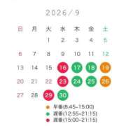 Nonoha 今月の予定 PROPORTION