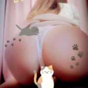 ヒメ日記 2025/02/22 12:08 投稿 真鍋　まあさ【奥様】 isai～愛妻