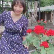 ヒメ日記 2026/07/17 21:03 投稿 ゆう(極上プレイの鉄板美女！ ハニービー（Honey Bee）