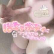 ヒメ日記 2024/12/14 14:09 投稿 さな 久喜鷲宮ちゃんこ