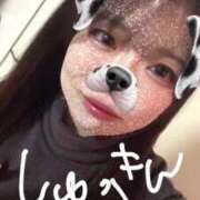 ヒメ日記 2024/12/14 17:29 投稿 さな 久喜鷲宮ちゃんこ