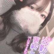 ヒメ日記 2024/12/17 21:49 投稿 さな 久喜鷲宮ちゃんこ