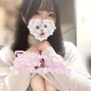 ヒメ日記 2024/12/24 12:59 投稿 さな 久喜鷲宮ちゃんこ