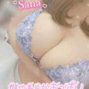 ヒメ日記 2025/02/06 12:29 投稿 さな 久喜鷲宮ちゃんこ