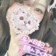 ヒメ日記 2025/02/26 12:09 投稿 さな 久喜鷲宮ちゃんこ