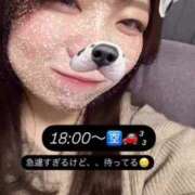 ヒメ日記 2025/03/11 17:31 投稿 さな 久喜鷲宮ちゃんこ