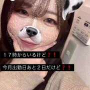 ヒメ日記 2025/03/28 16:31 投稿 さな 久喜鷲宮ちゃんこ