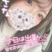 ヒメ日記 2025/04/17 07:41 投稿 さな 久喜鷲宮ちゃんこ