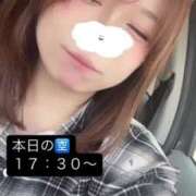 ヒメ日記 2025/04/19 15:02 投稿 さな 久喜鷲宮ちゃんこ