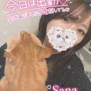 ヒメ日記 2025/04/22 08:41 投稿 さな 久喜鷲宮ちゃんこ