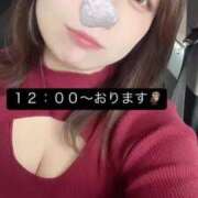 ヒメ日記 2025/04/26 12:31 投稿 さな 久喜鷲宮ちゃんこ