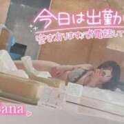 ヒメ日記 2025/05/20 15:02 投稿 さな 久喜鷲宮ちゃんこ