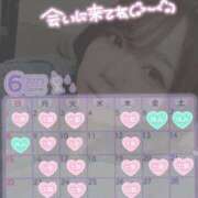 ヒメ日記 2025/06/02 12:21 投稿 さな 久喜鷲宮ちゃんこ