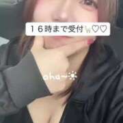 ヒメ日記 2025/07/12 12:21 投稿 さな 久喜鷲宮ちゃんこ