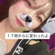 ヒメ日記 2025/07/17 15:02 投稿 さな 久喜鷲宮ちゃんこ