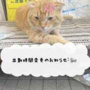 ヒメ日記 2025/07/24 12:30 投稿 さな 久喜鷲宮ちゃんこ